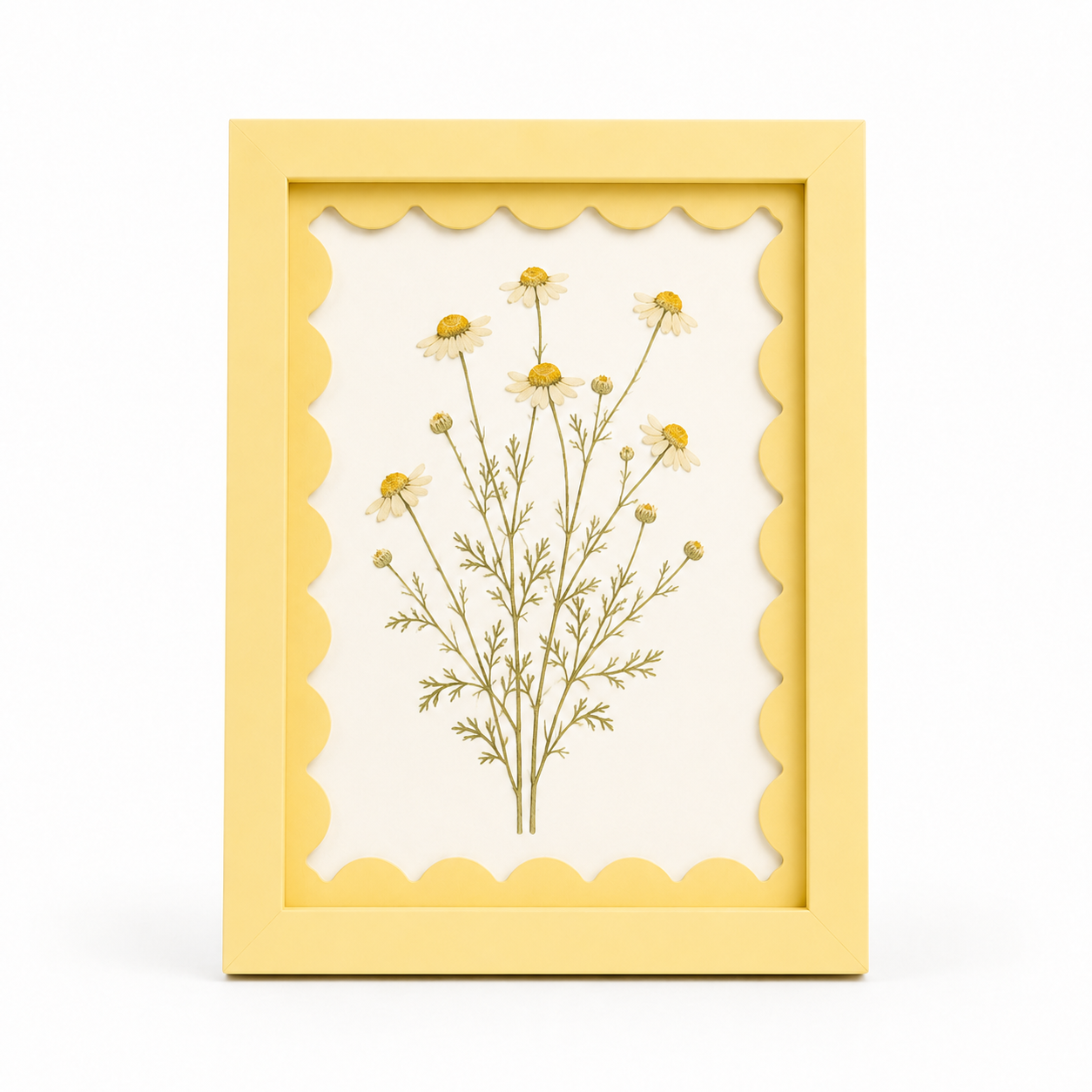Butter yellow scalloped-mat art frame, white background hero shot