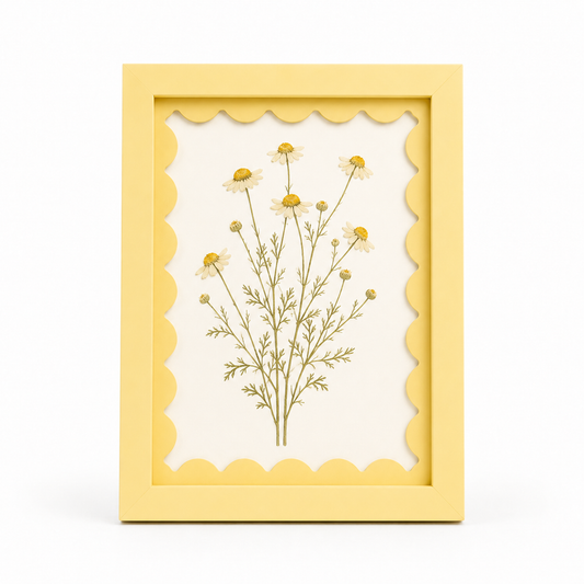 Butter yellow scalloped-mat art frame, white background hero shot